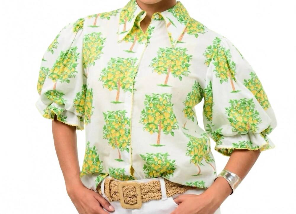 NEW IVY JANE the limoncello garden top in white/green